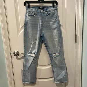 Unique Hudson LA Jeans